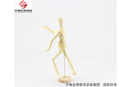 木質(zhì)關(guān)節(jié)人