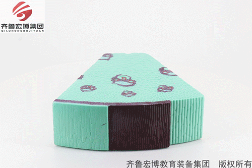 單子葉模型